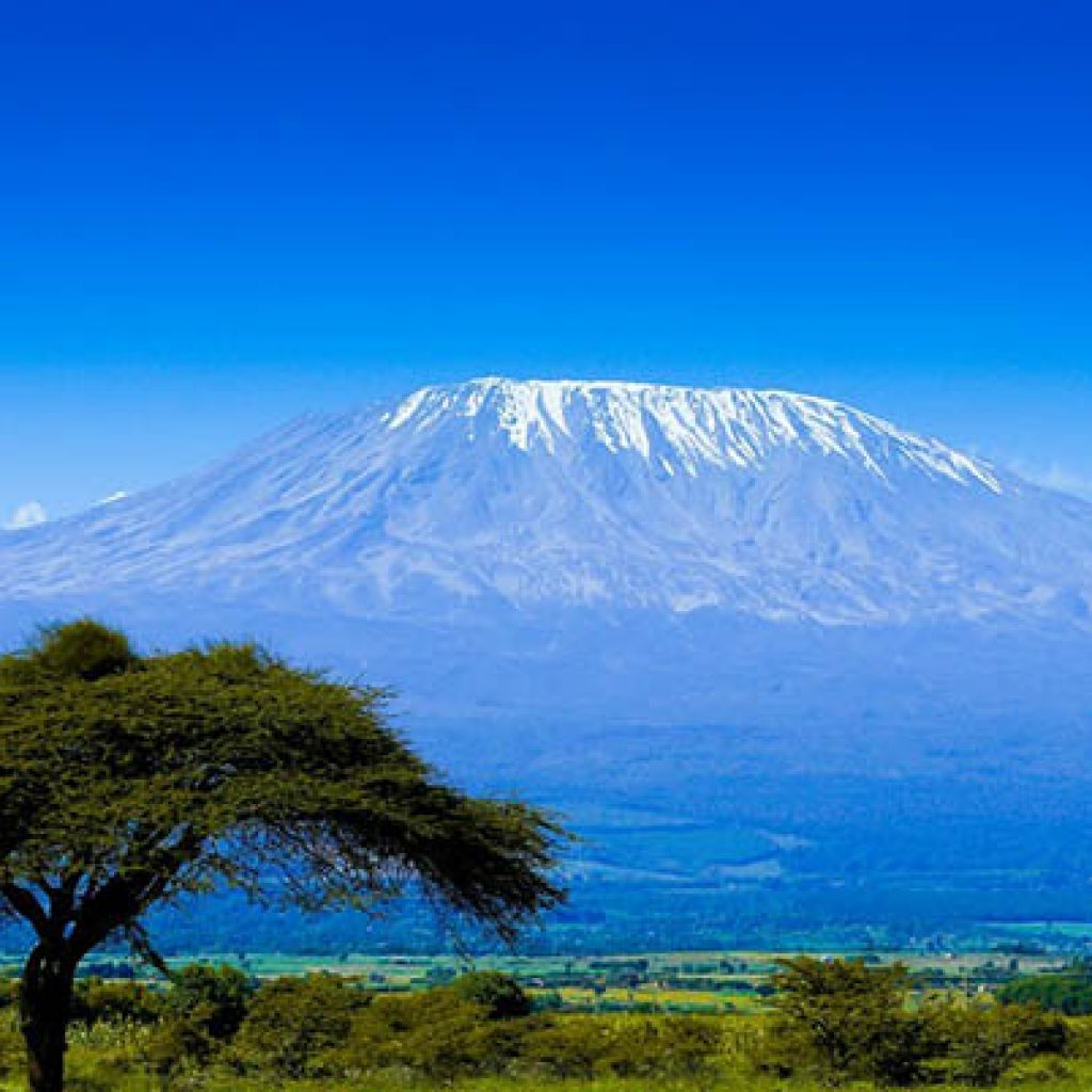 kilimanjaro