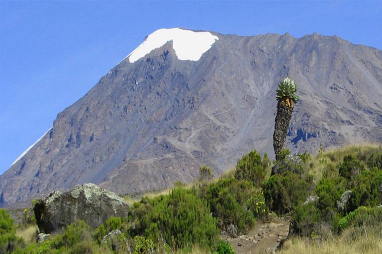marangu